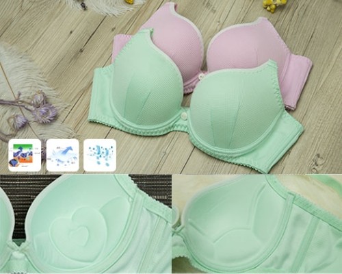 BW216 Brassiere