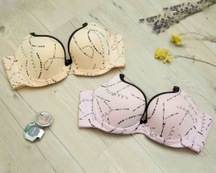 BW223 Brassiere
