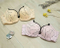 BW223 Brassiere
