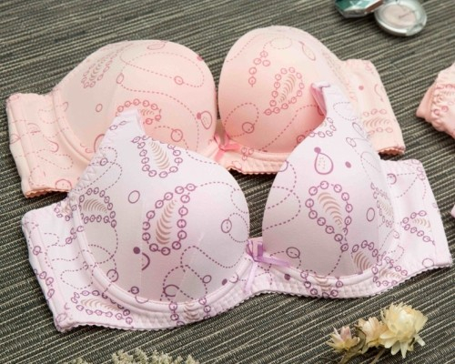 BW228 Brassiere