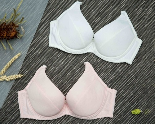 BW222 Brassiere