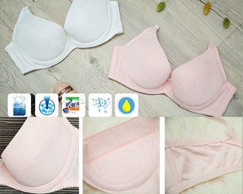 BW222 Brassiere