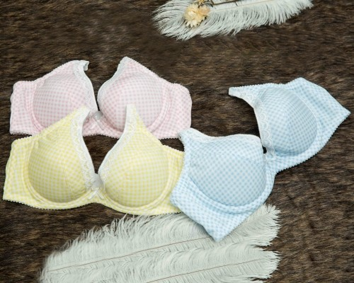 BW219 Brassiere